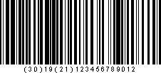 GS1-128 symbol - two Application Identifiers