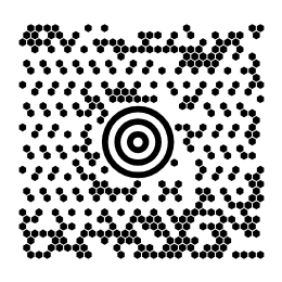Ein Maxicode, ein Quadrat aus schwarzen Sechsecken um eine
Zielscheibe, mit dem Inhalt Labeljoy Versandetikett 2026.