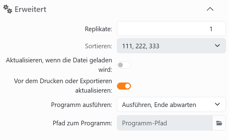 Der Bereich Erweitert: Replikate und Sortieren, die
Schalter Aktualisieren, wenn die Datei geladen wird und Vor dem Drucken oder Exportieren aktualisieren, und Programm
ausführen mit Pfad zum Programm.