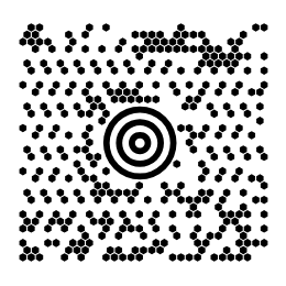 A Maxicode, a square of black hexagons around a
bull's-eye, holding Labeljoy shipping label 2026.