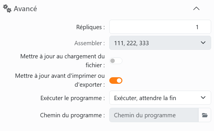La section Avancé : Répliques et Assembler, les
interrupteurs Mettre à jour au chargement du fichier et Mettre à jour avant d'imprimer ou d'exporter, et Exécuter le
programme avec Chemin du programme.
