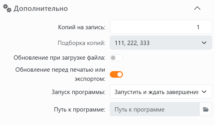 Раздел «Дополнительно»: «Копий на запись» и «Подборка копий»,
переключатели «Обновление при загрузке файла» и «Обновление перед печатью или экспортом», а также «Запуск программы»
с полем «Путь к программе».