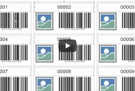 How to use incremental counters