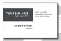 Business card professionale