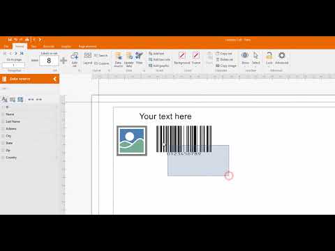 Labeljoy 6 - How to load data from Excel
