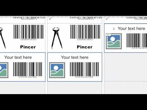 Labeljoy 6 - How to create different labels using sets