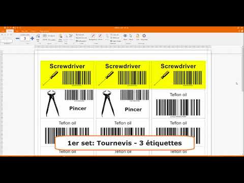 Labeljoy 6 - Comment créer des étiquettes différentes en utilisant des sets