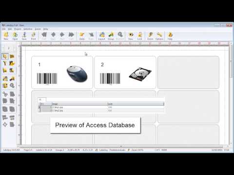 Connect Access database to Labeljoy.