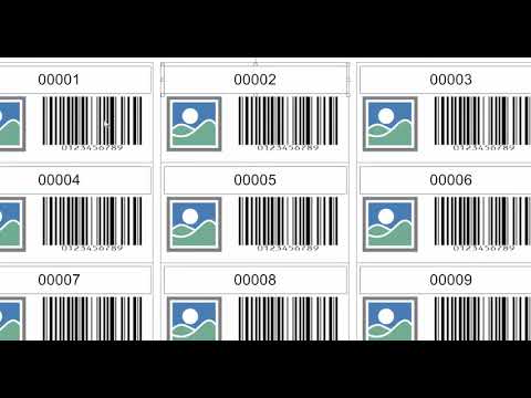 Labeljoy 6 - Cómo usar contadores incrementales